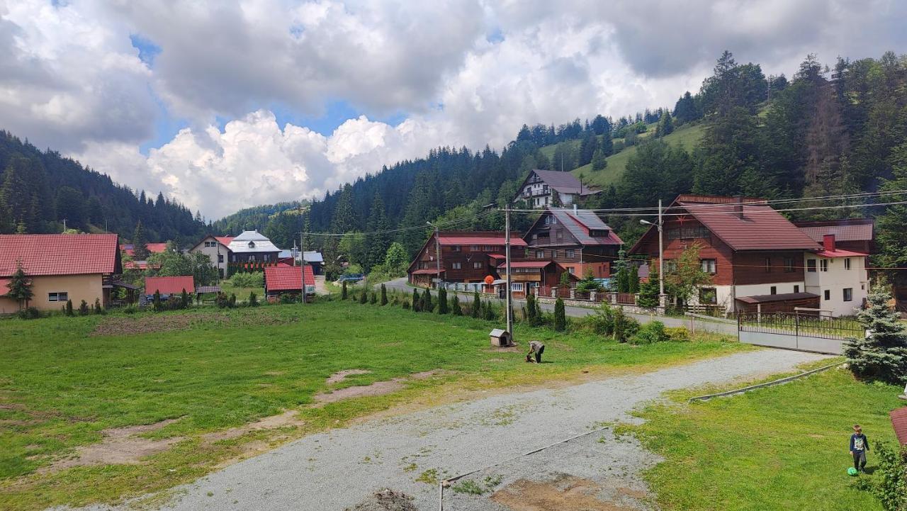 Pensiunea Trei Brazi Arieşeni Exteriér fotografie