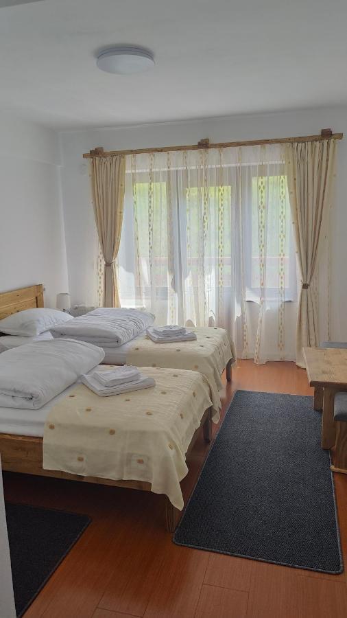 Pensiunea Trei Brazi Arieşeni Exteriér fotografie